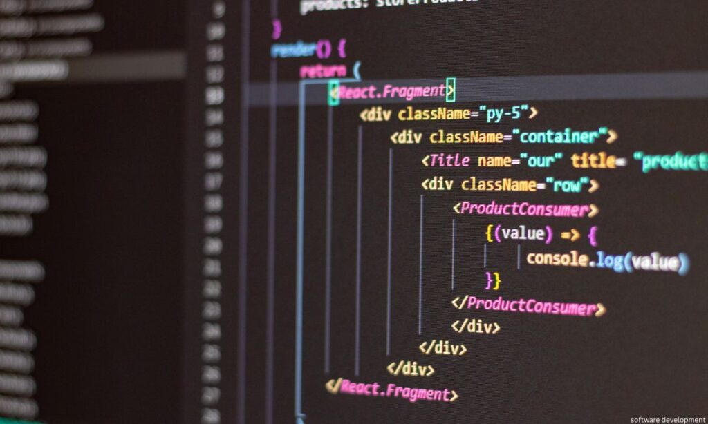 software development